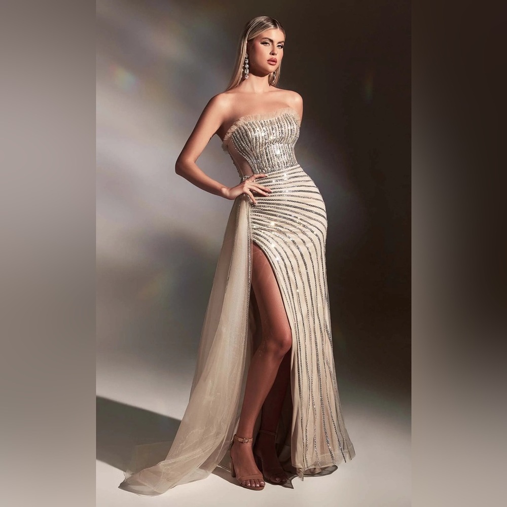 Ladivine dress size 4 silver-nude